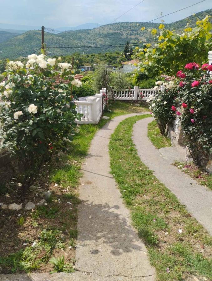 Woodstone Apartman Podgorica Eksteriør billede