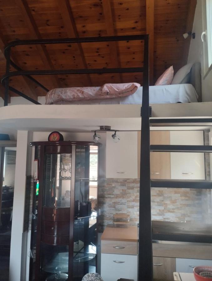 Woodstone Apartman Podgorica Eksteriør billede